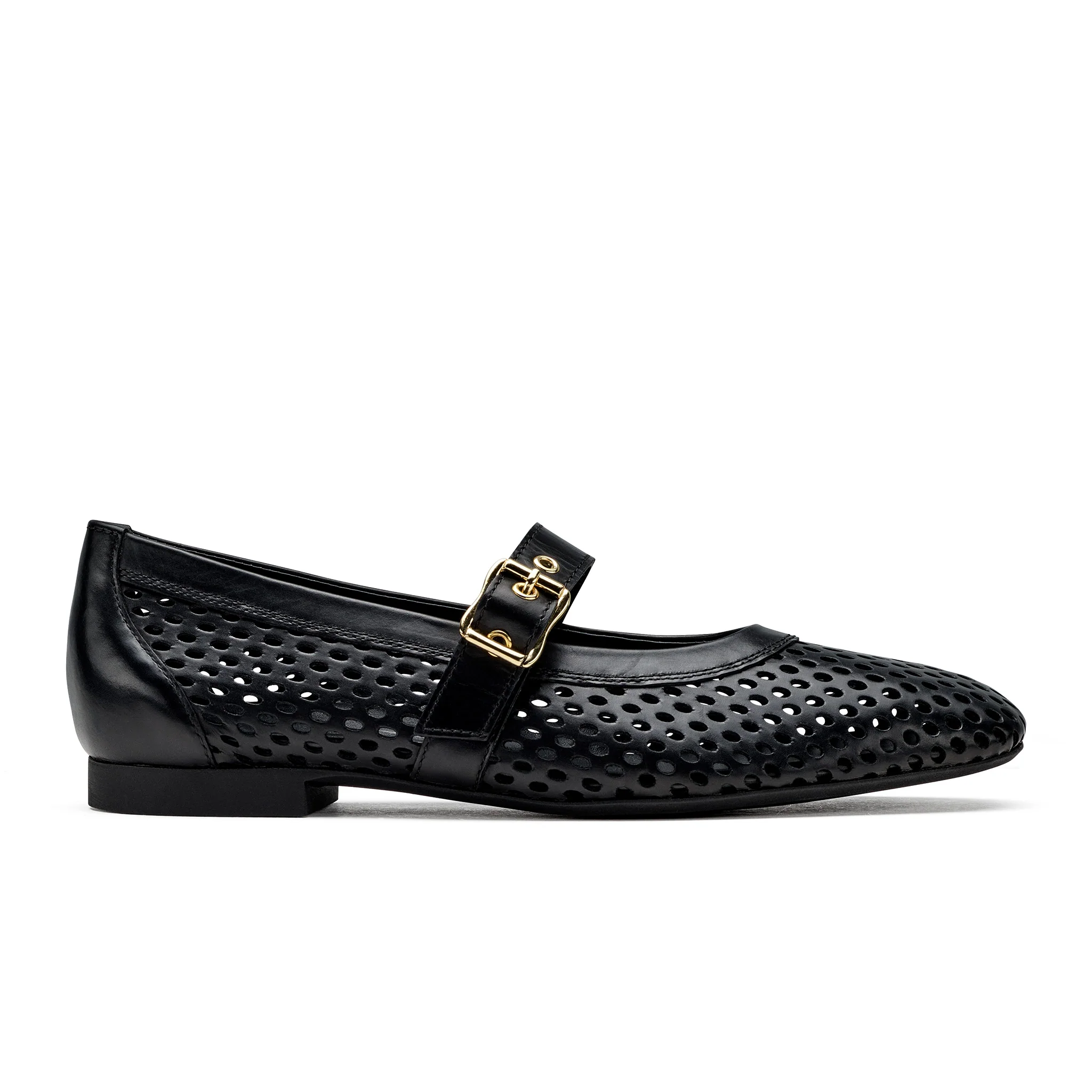 Dana Flat